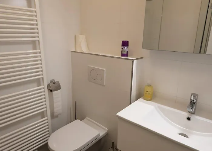 شقة فندقية Center *